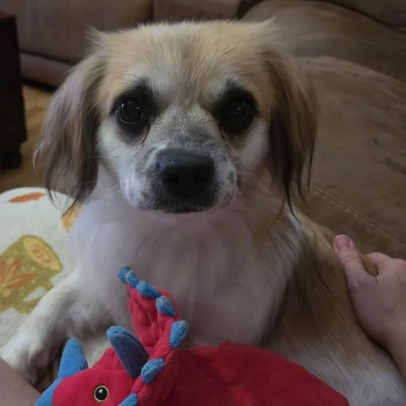 Snookie thumbnail 3