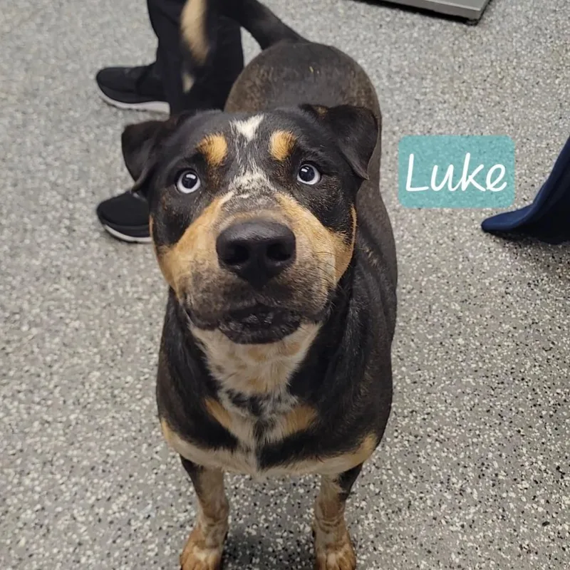 Luke