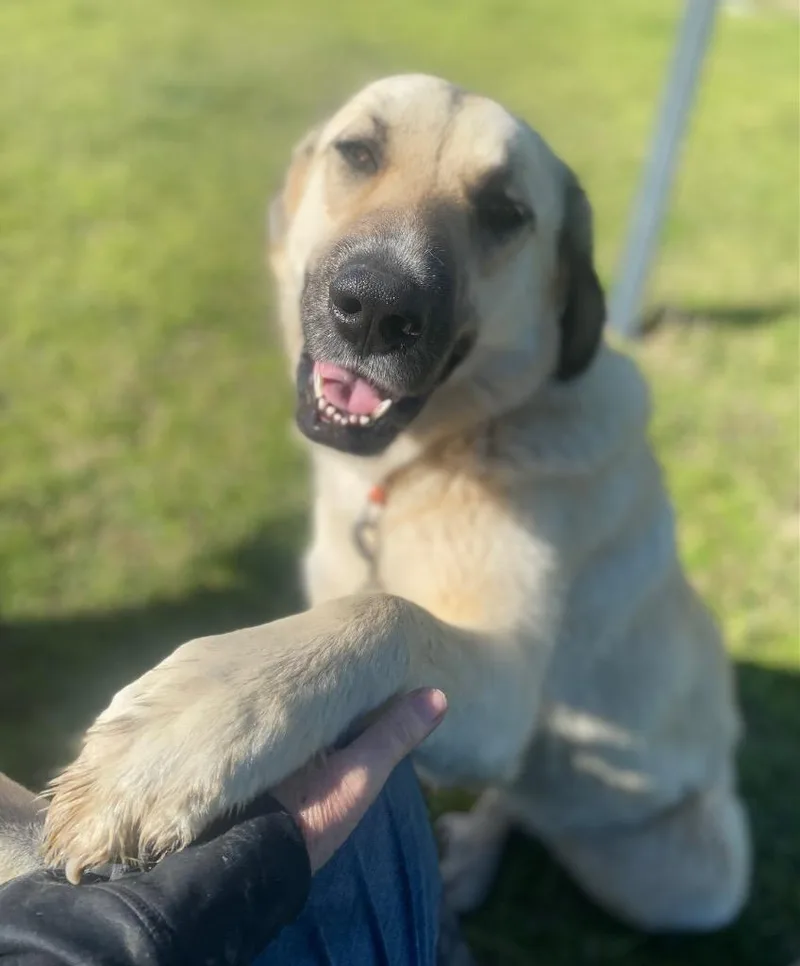 Pretty Girl thumbnail 2