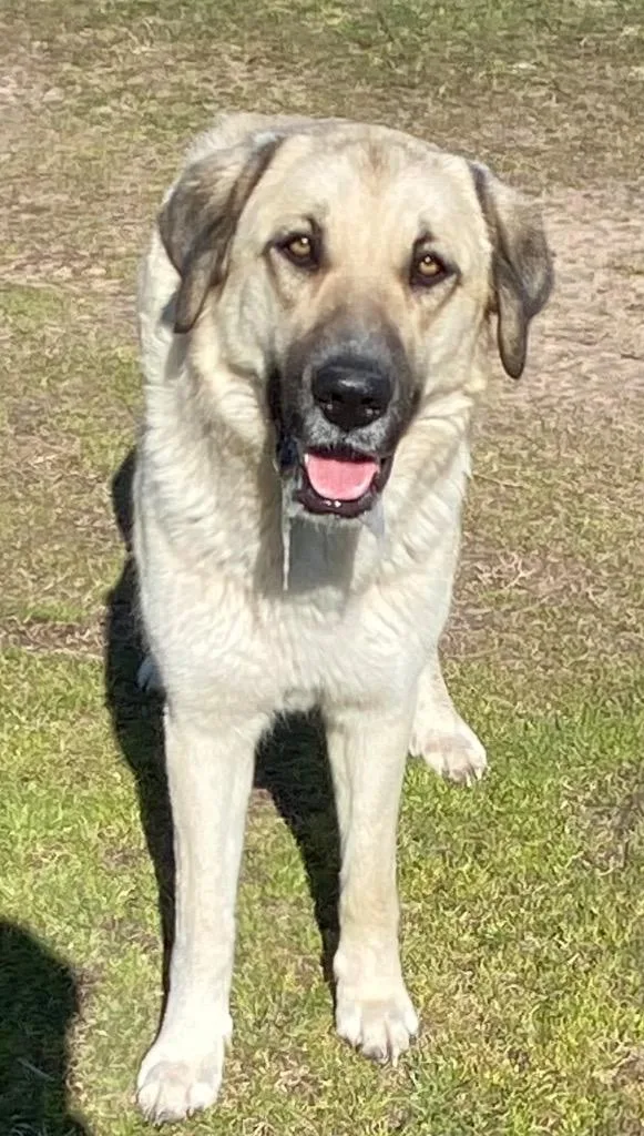 Pretty Girl thumbnail 3