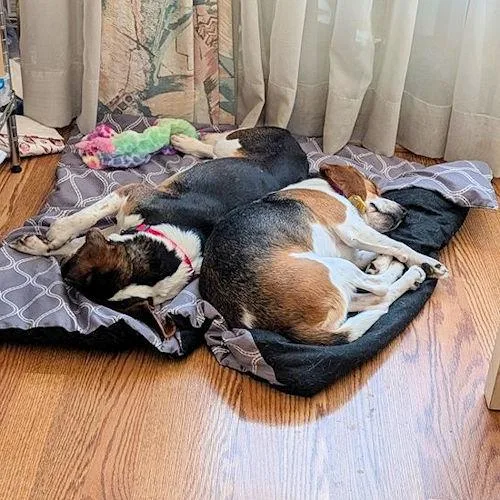 Nora And Sanders thumbnail 3