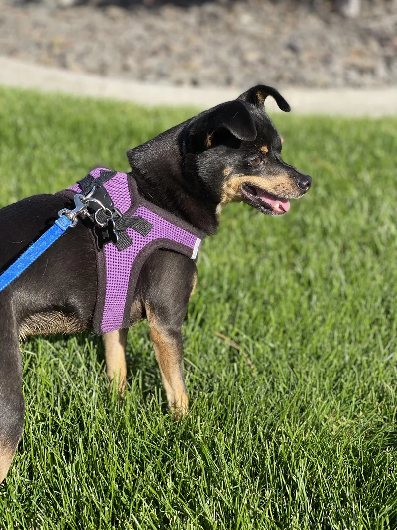 Benny & Joon thumbnail 5