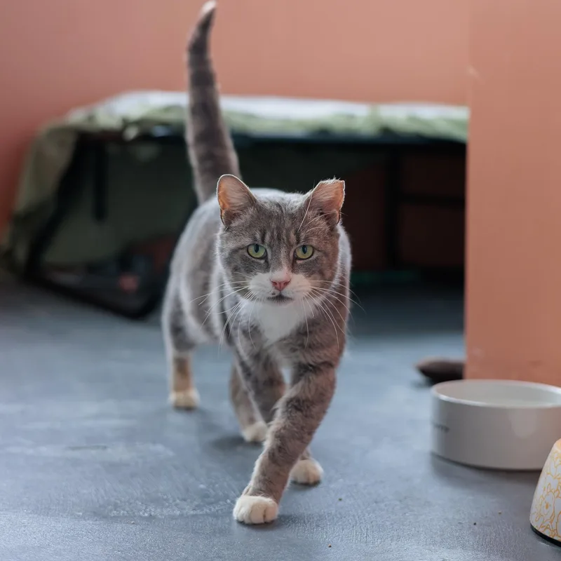 Yule And Pearl thumbnail 3