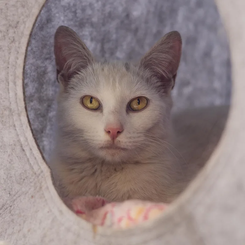 Yule And Pearl thumbnail 5