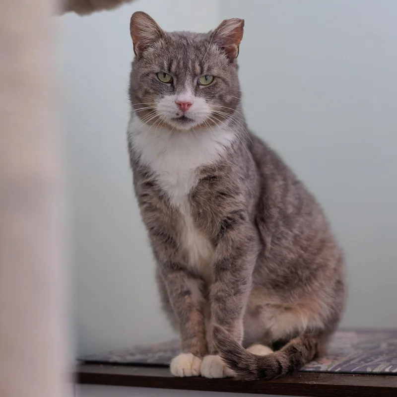 Yule And Pearl thumbnail 6