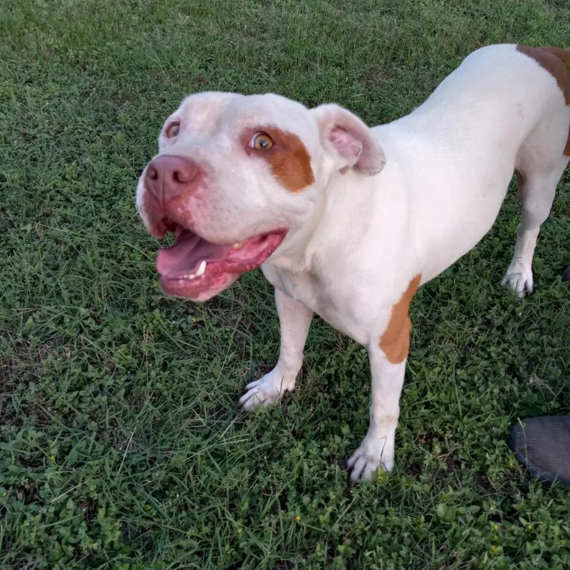 Sergio Aka Seth thumbnail 2