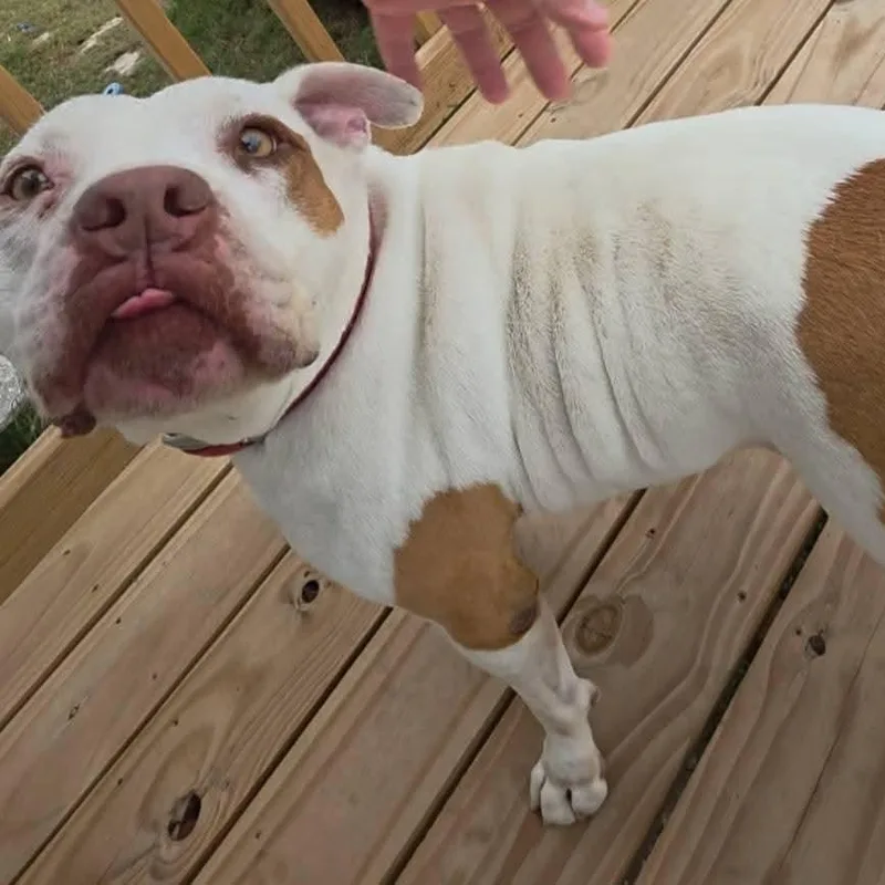 Sergio Aka Seth thumbnail 3