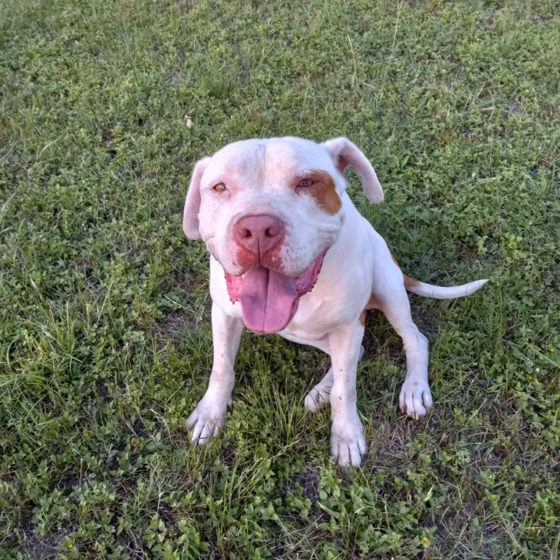 Sergio Aka Seth thumbnail 4