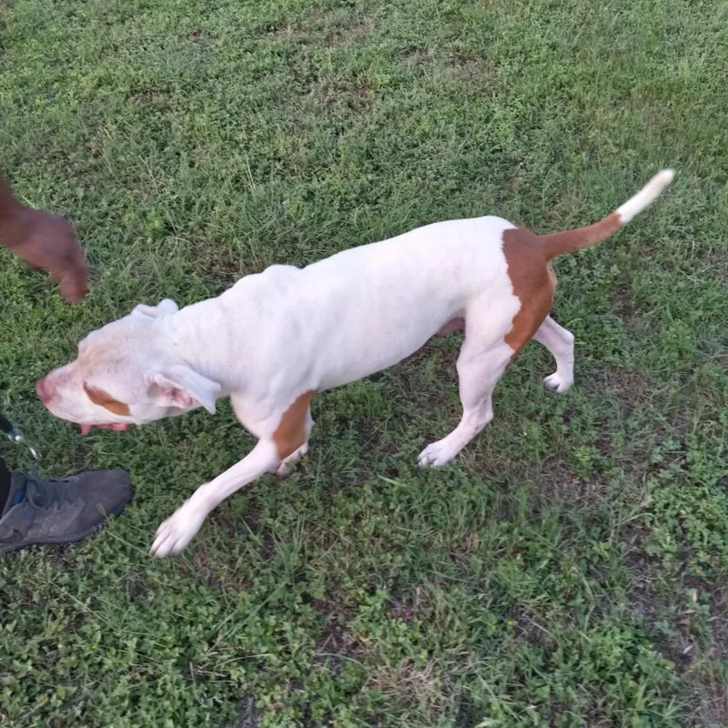 Sergio Aka Seth thumbnail 5