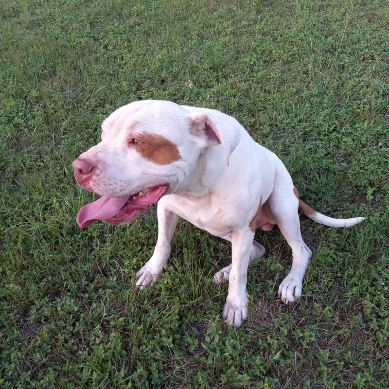 Sergio Aka Seth thumbnail 6