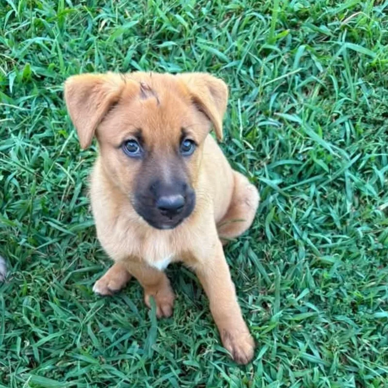 Mia