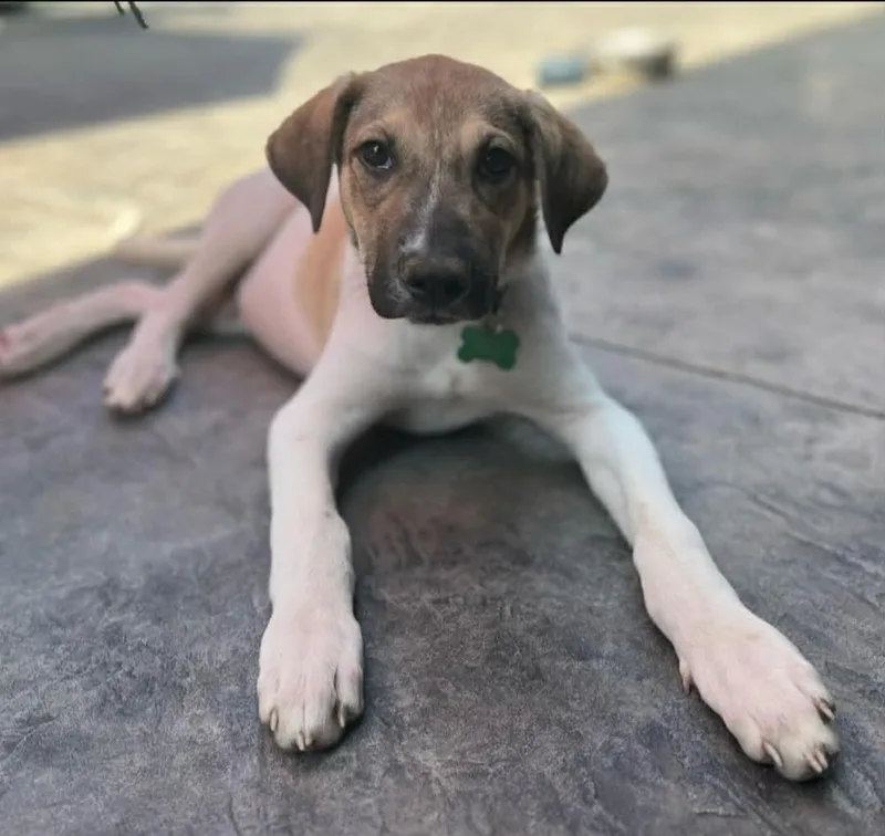 Lucky