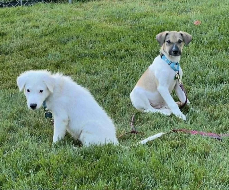 Lucky thumbnail 2
