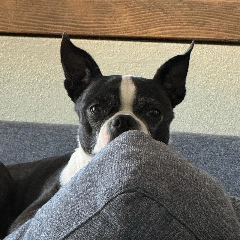 Allie in CO thumbnail 3