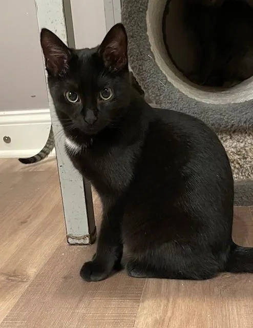 Patience thumbnail 3