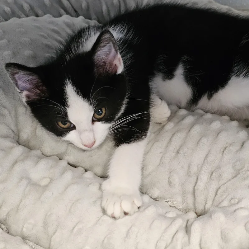 Daisy May thumbnail 3