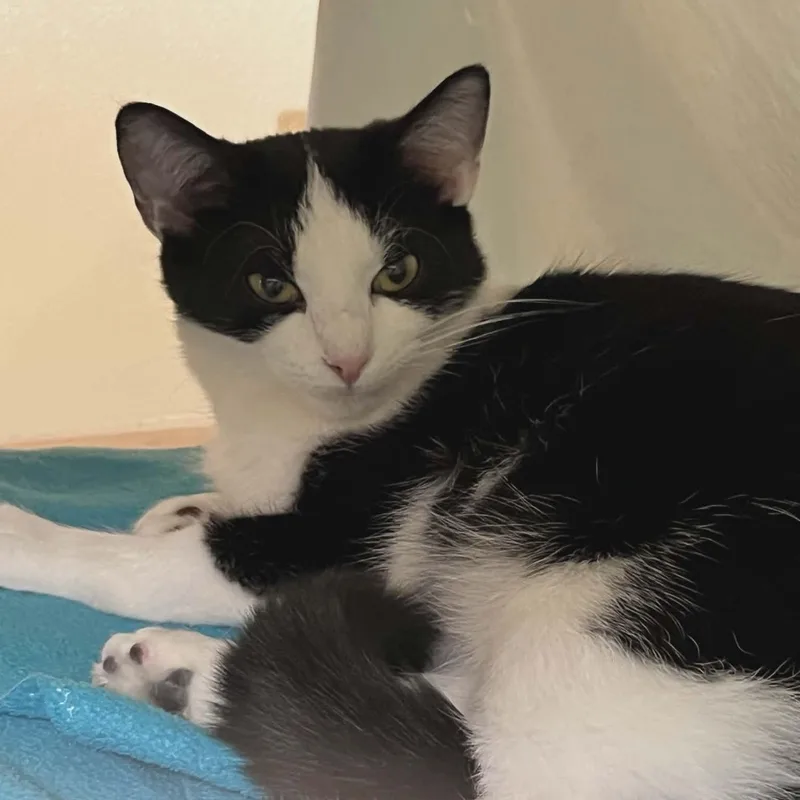 Daisy May thumbnail 4