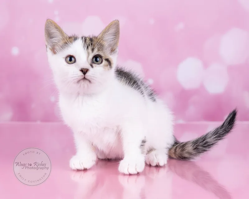 Mary Ella thumbnail 2