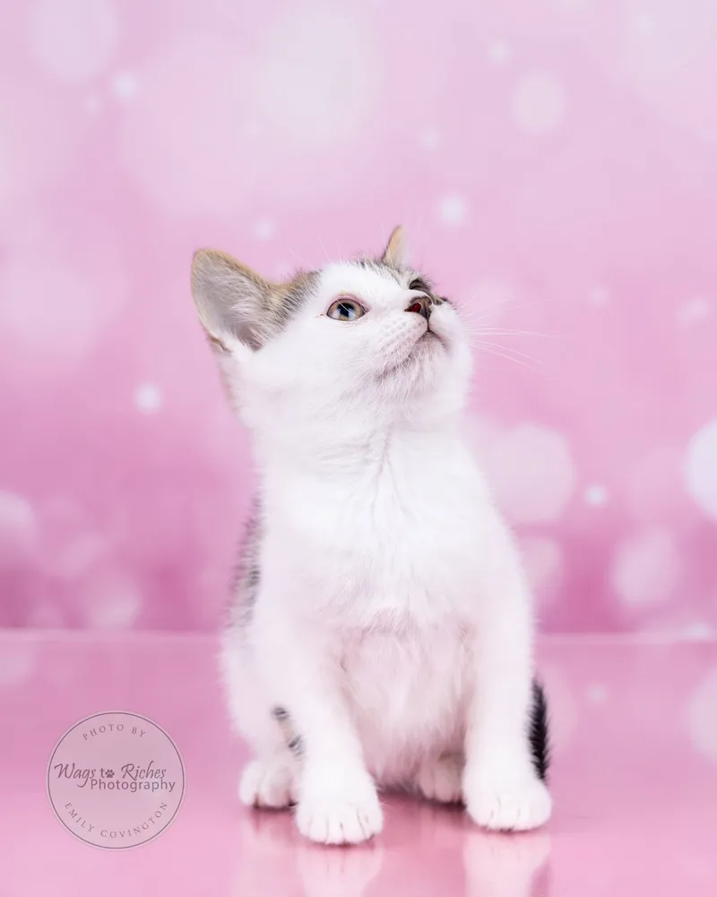 Mary Ella thumbnail 3