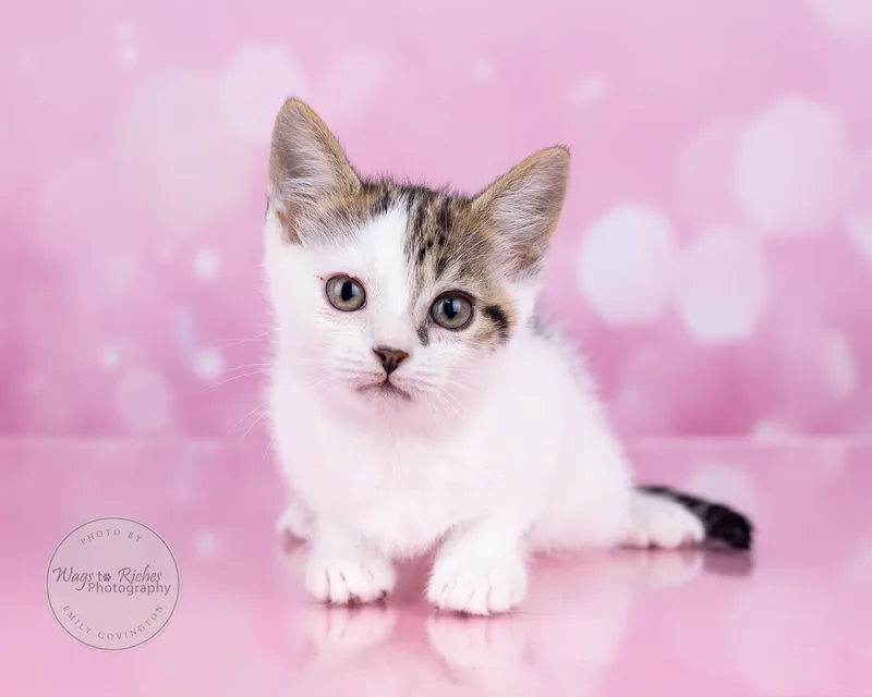 Mary Ella thumbnail 4