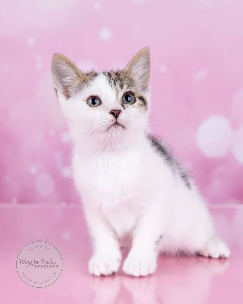 Mary Ella thumbnail 5