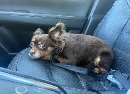 Baxter