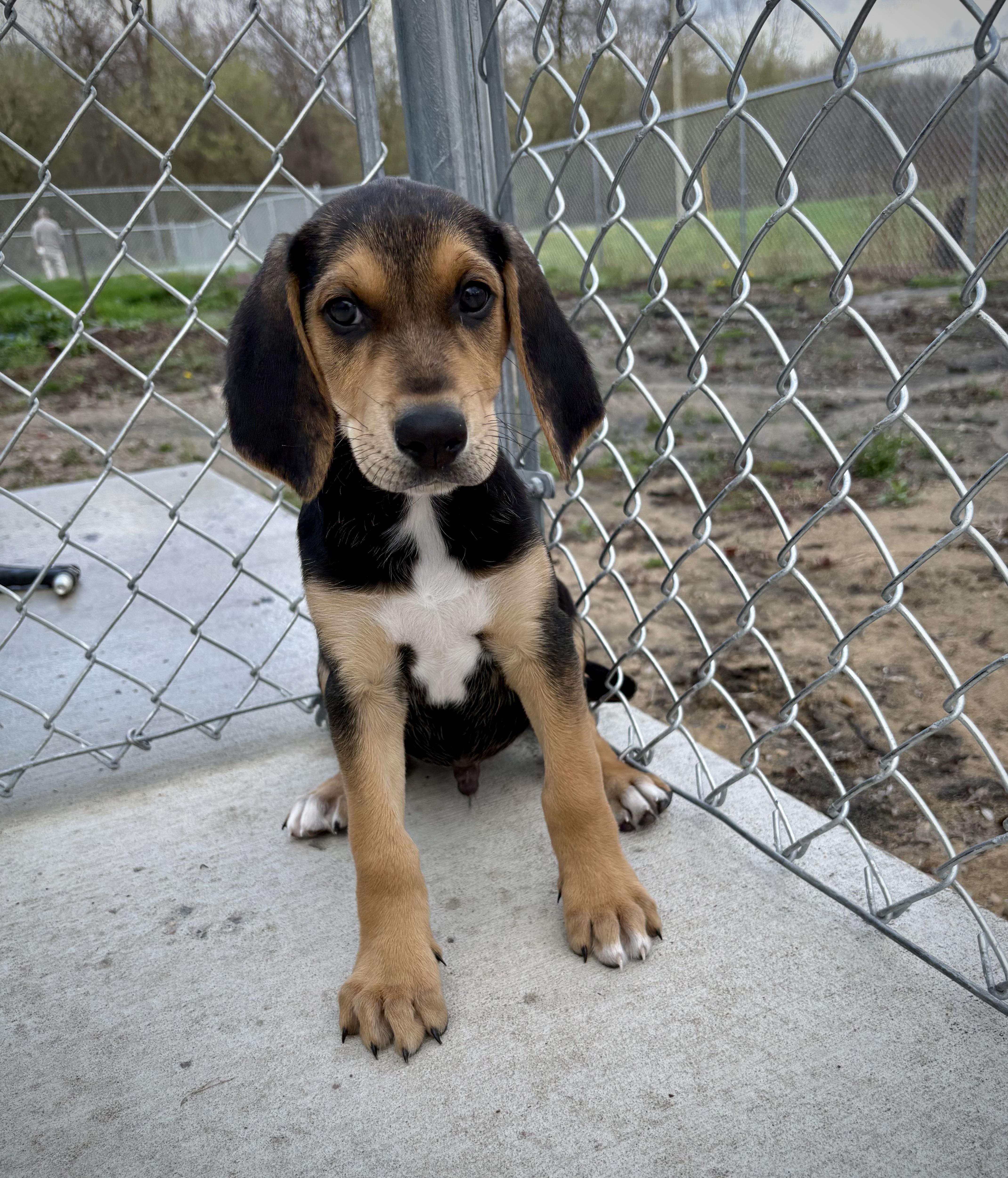 Haymitch thumbnail 2