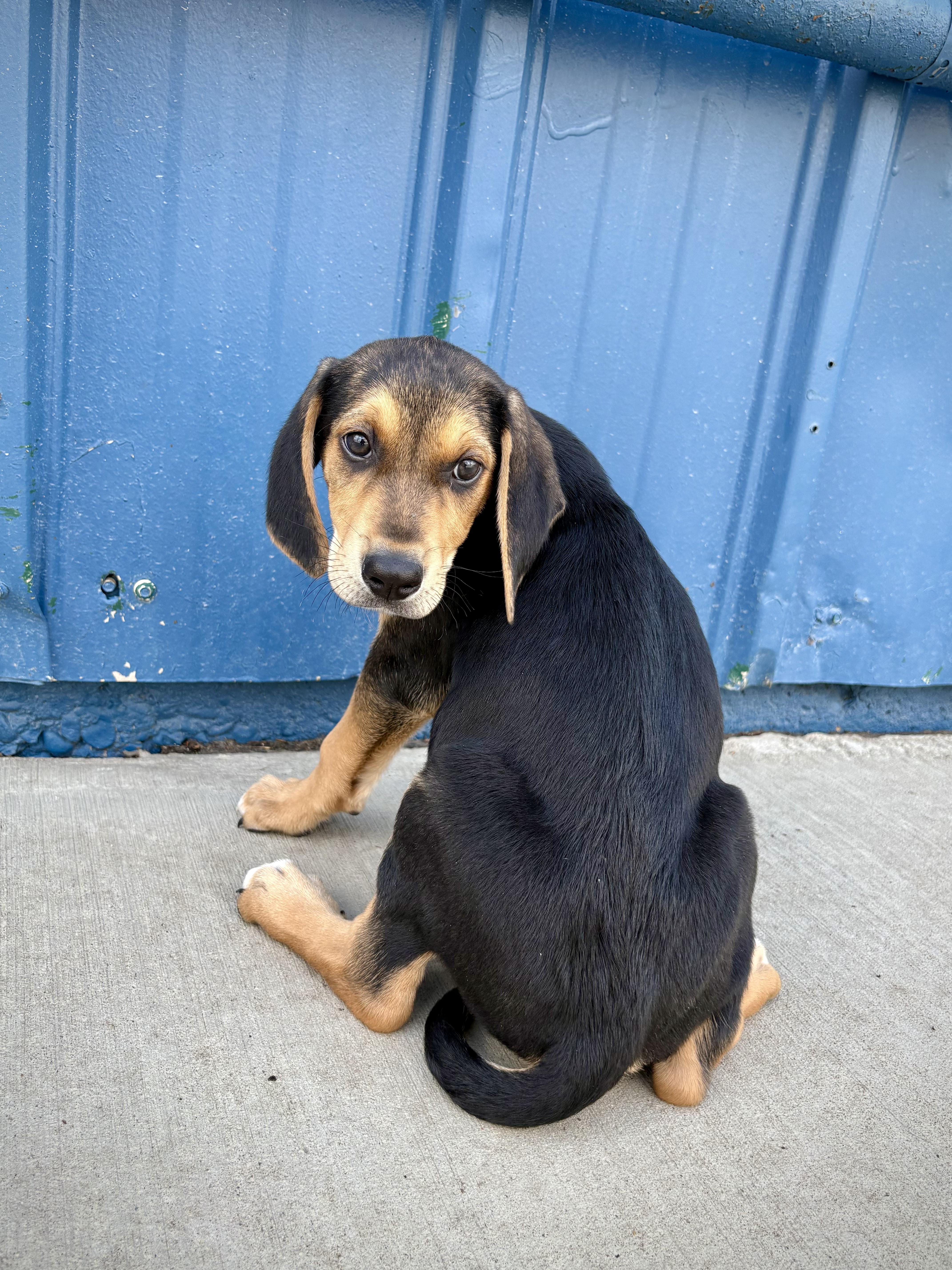 Haymitch thumbnail 3