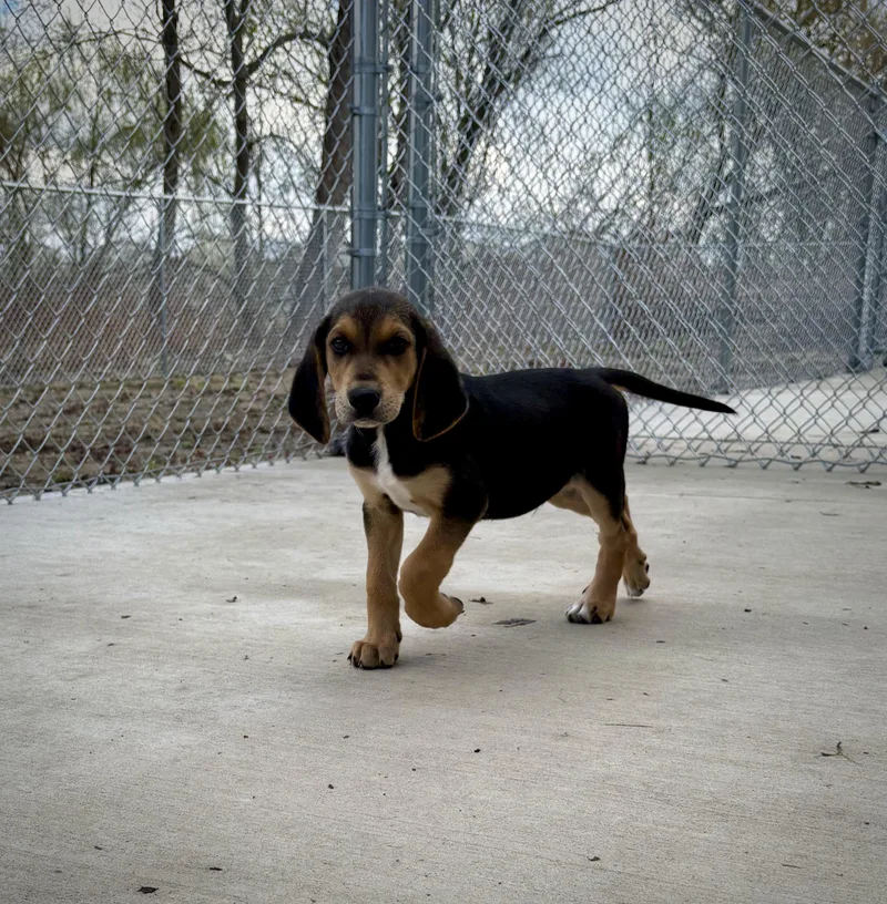 Haymitch thumbnail 4