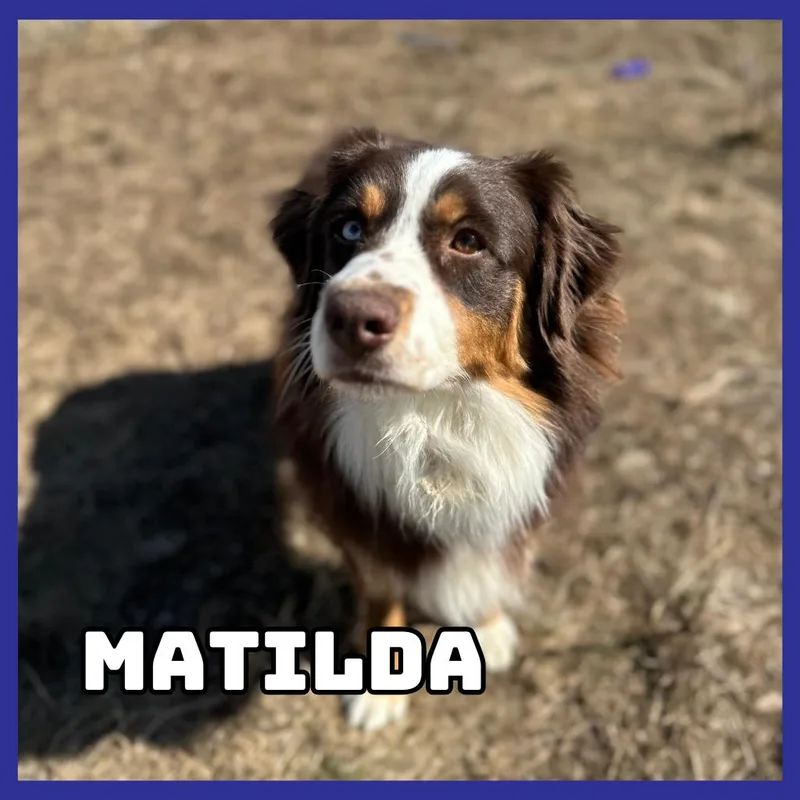 Matilda