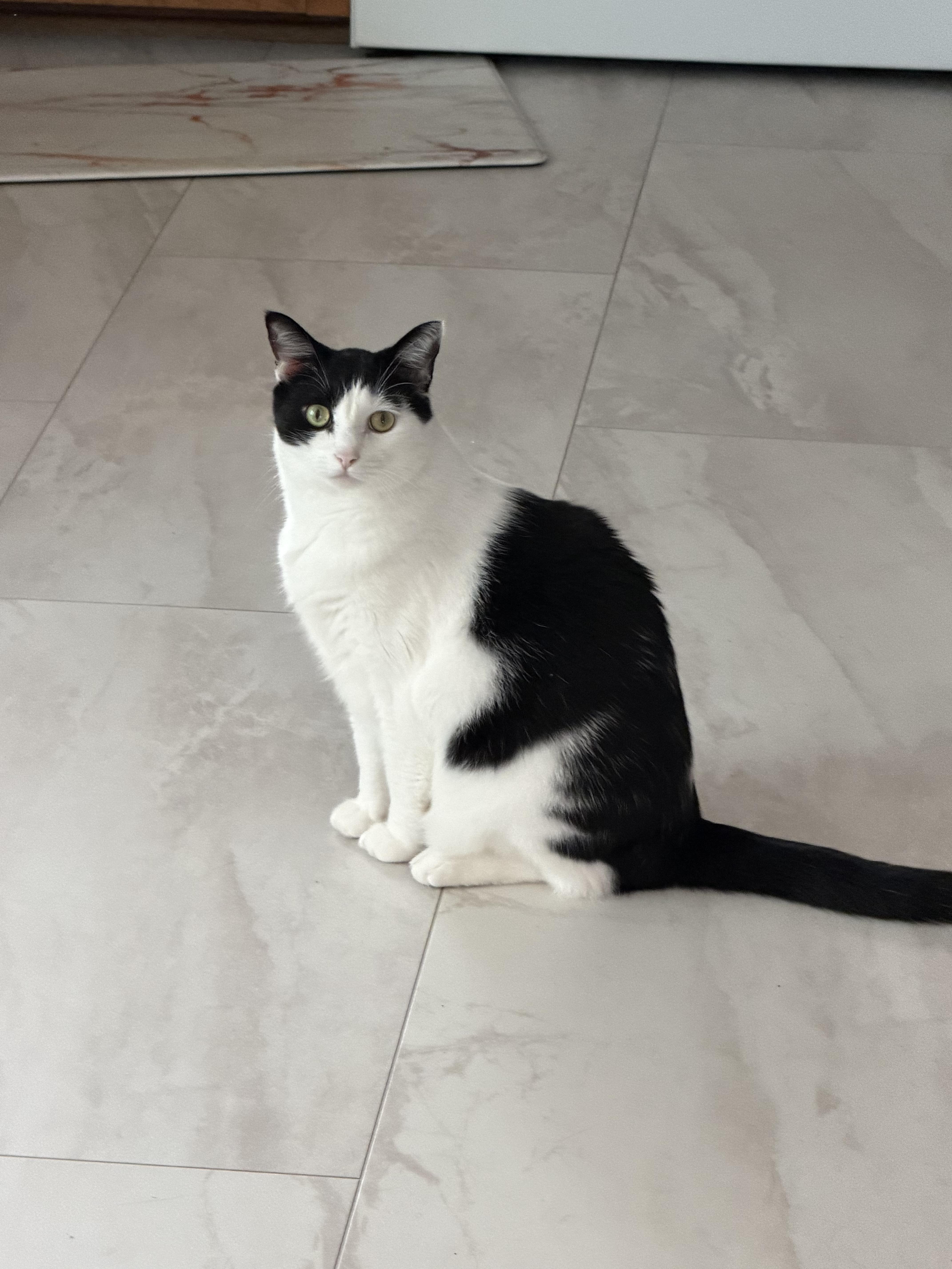Gatsby thumbnail 3