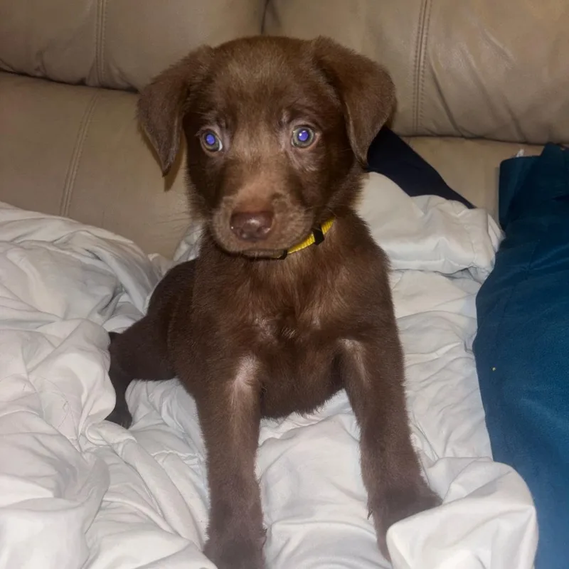 Charlie