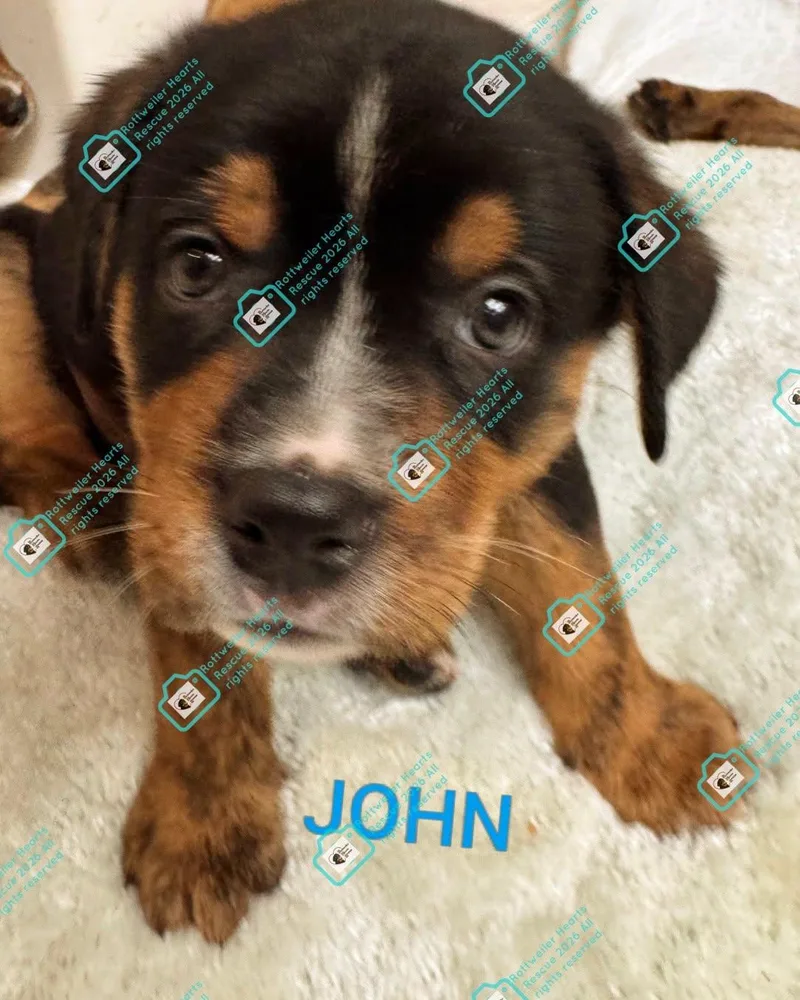 John thumbnail 2