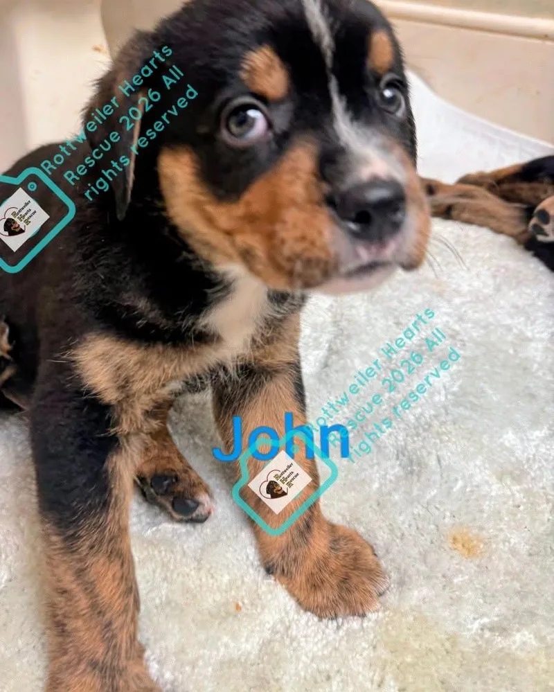 John thumbnail 3