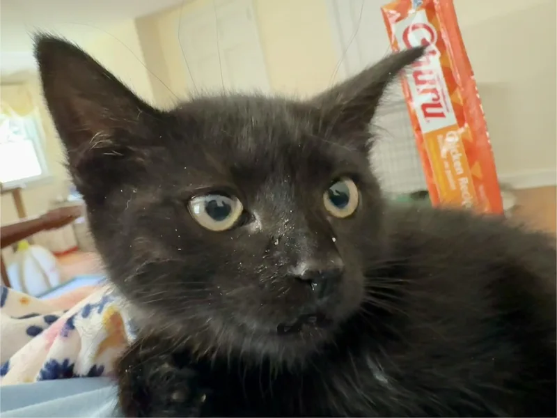Finley thumbnail 3