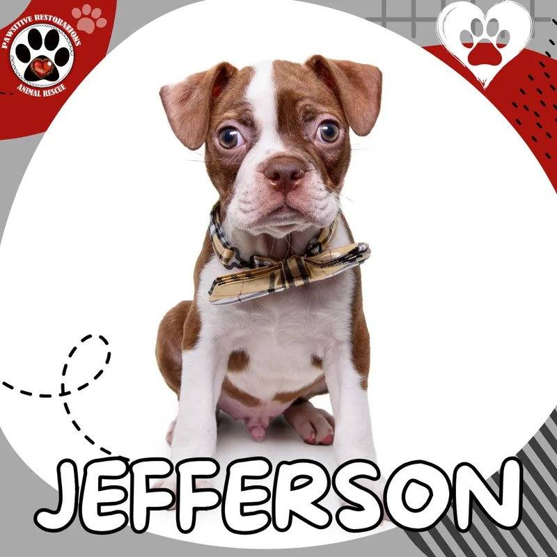 Jefferson thumbnail 2