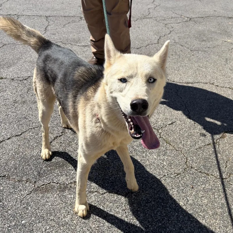 Charming thumbnail 2