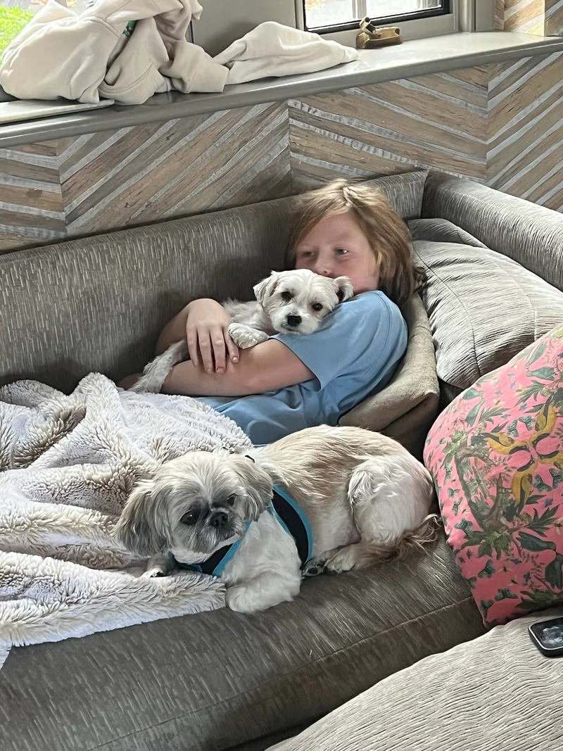 Lulu And Gizmo thumbnail 5