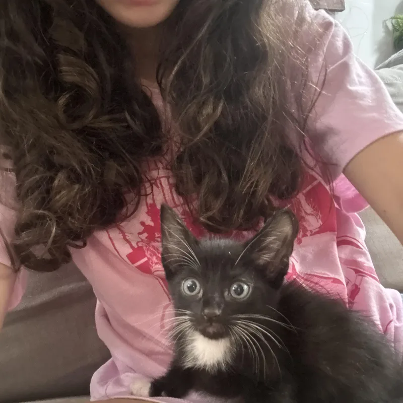 Hana and Ryuu thumbnail 4