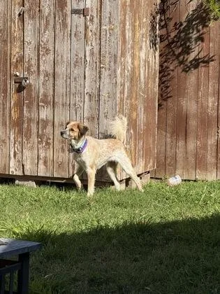 Charlotte thumbnail 2