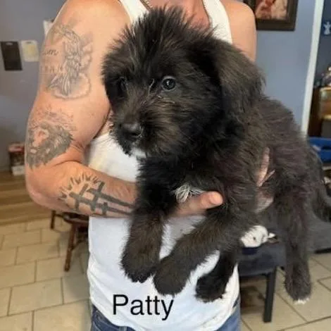 Patty P Litter thumbnail 2