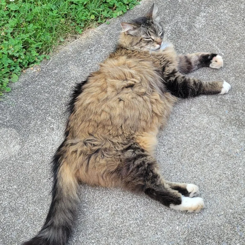 Zoe