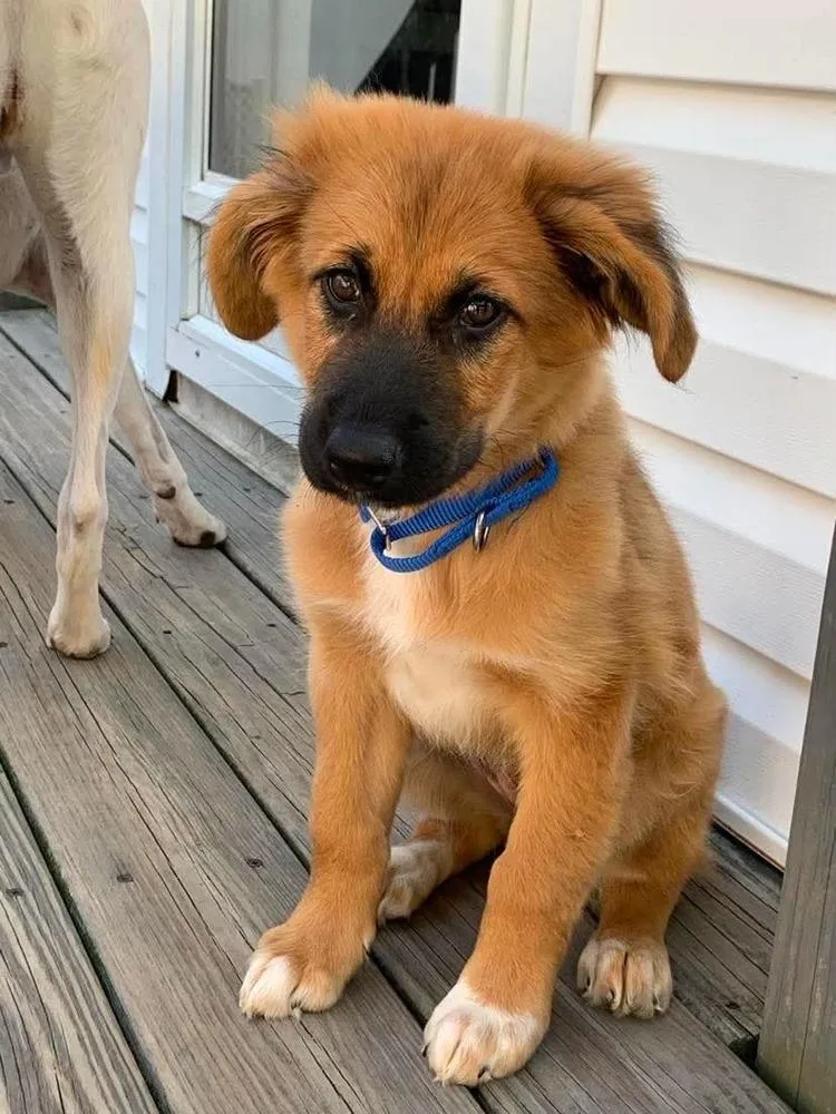 Bella
