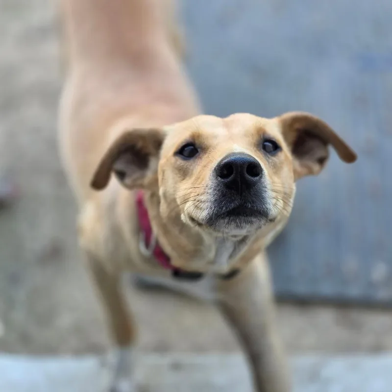 Bailey thumbnail 2