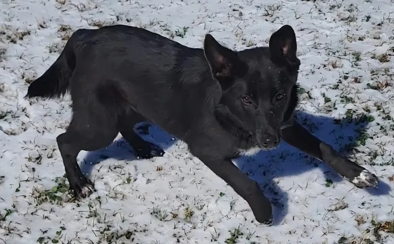 Sunshine thumbnail 2