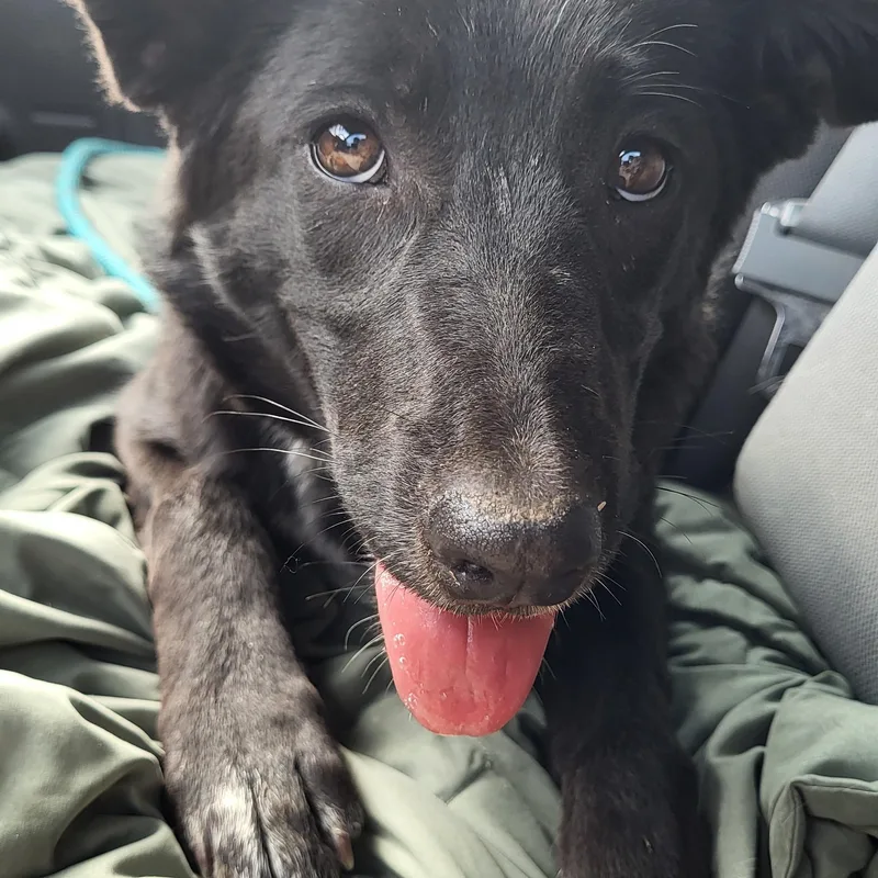 Sunshine thumbnail 3