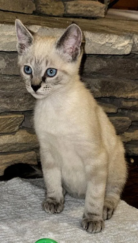 Ghost thumbnail 2
