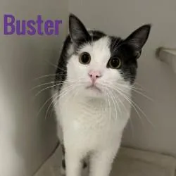 Buster