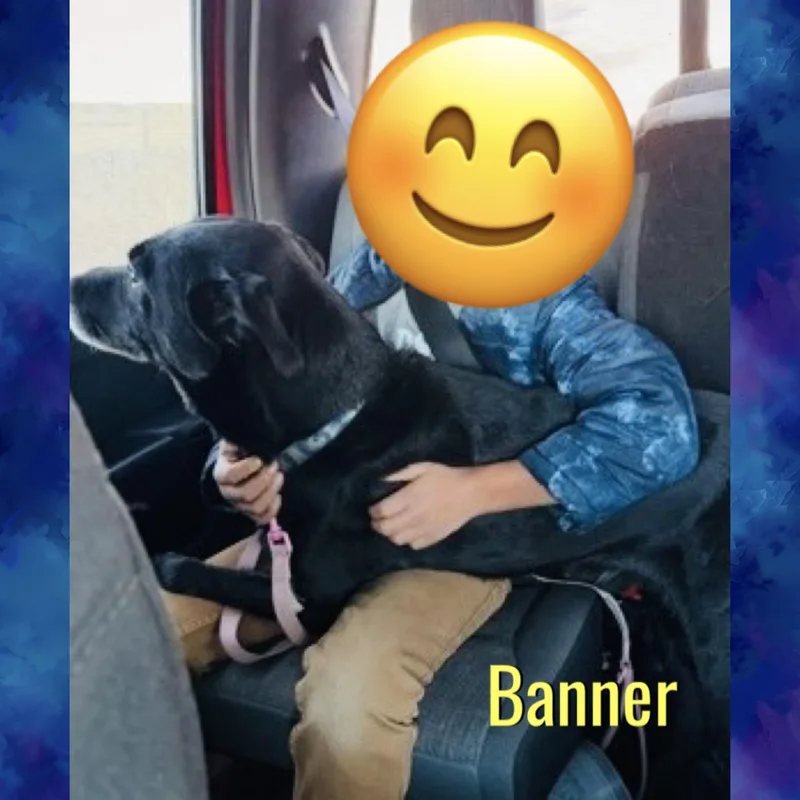 Banner thumbnail 3