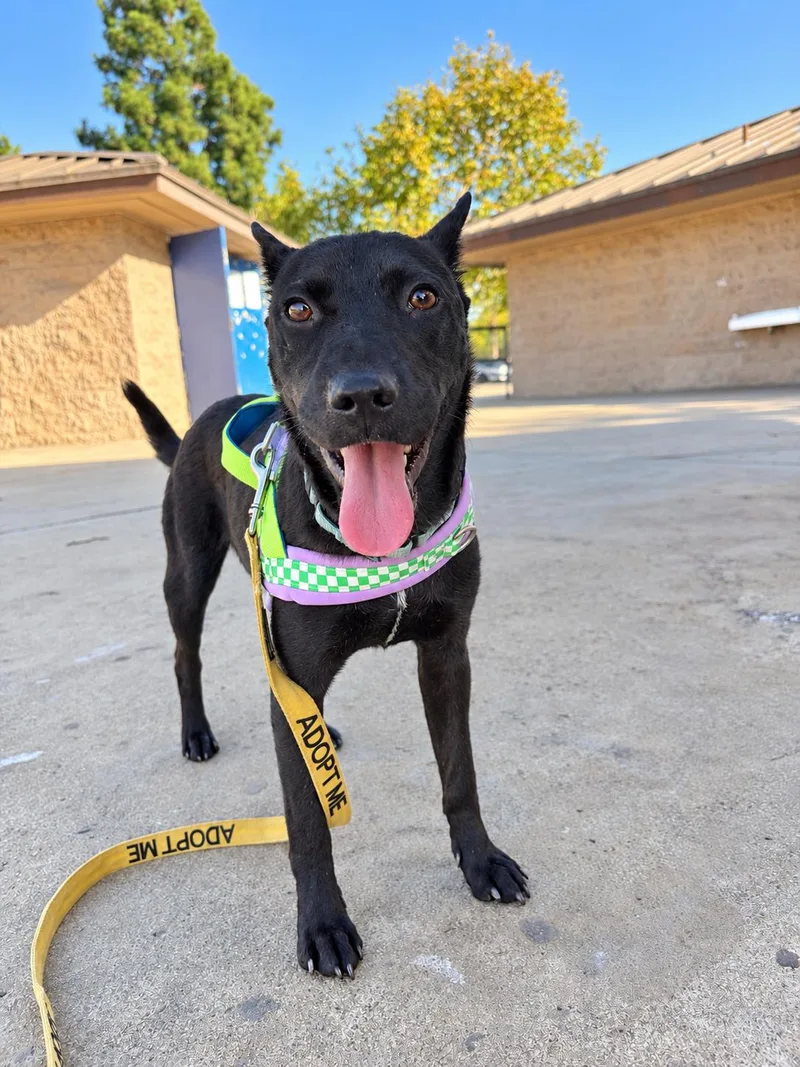 Kaiser thumbnail 6